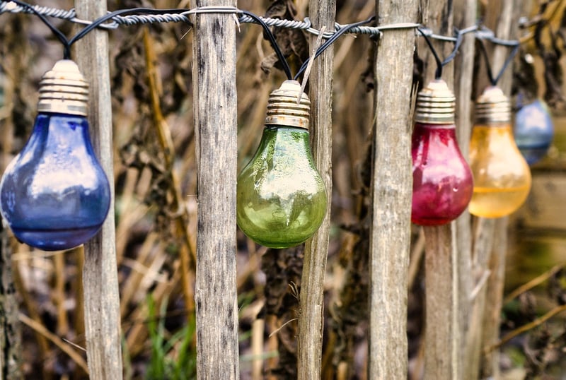 Fairy Lights in Garden