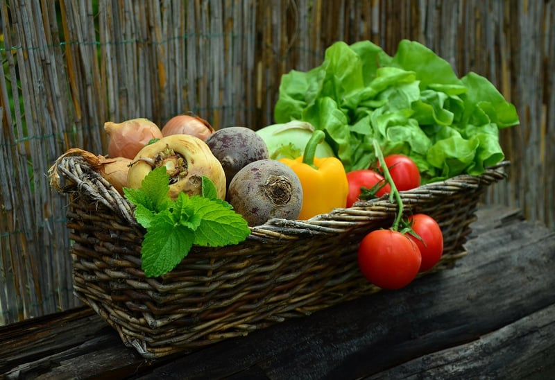 Summer Harvests